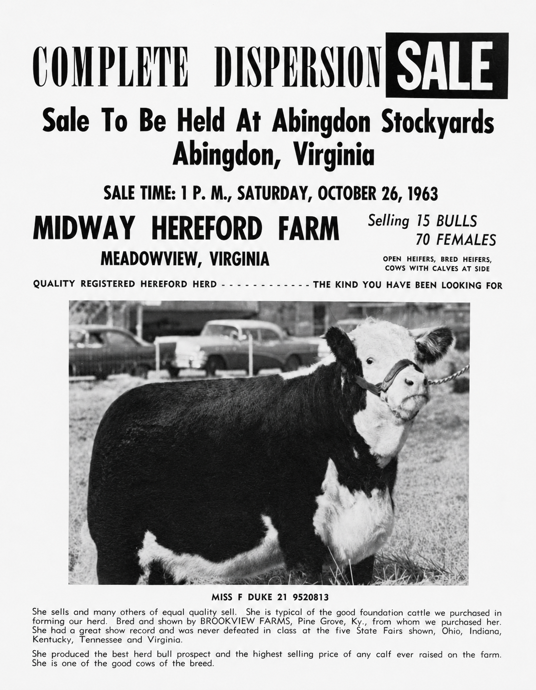 Flyer for Midway Hereford Farm's Complete Dispersion Sale at Abingdon Stockyards, October 26, 1963, featuring Miss F Duke 21