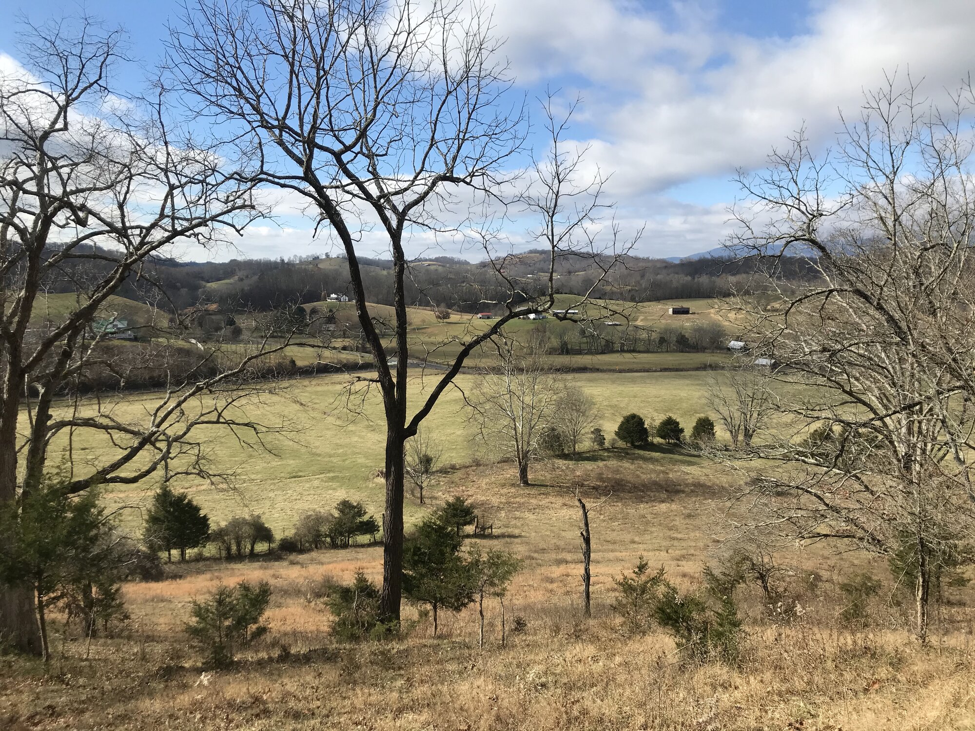 Winter pastures and bare trees