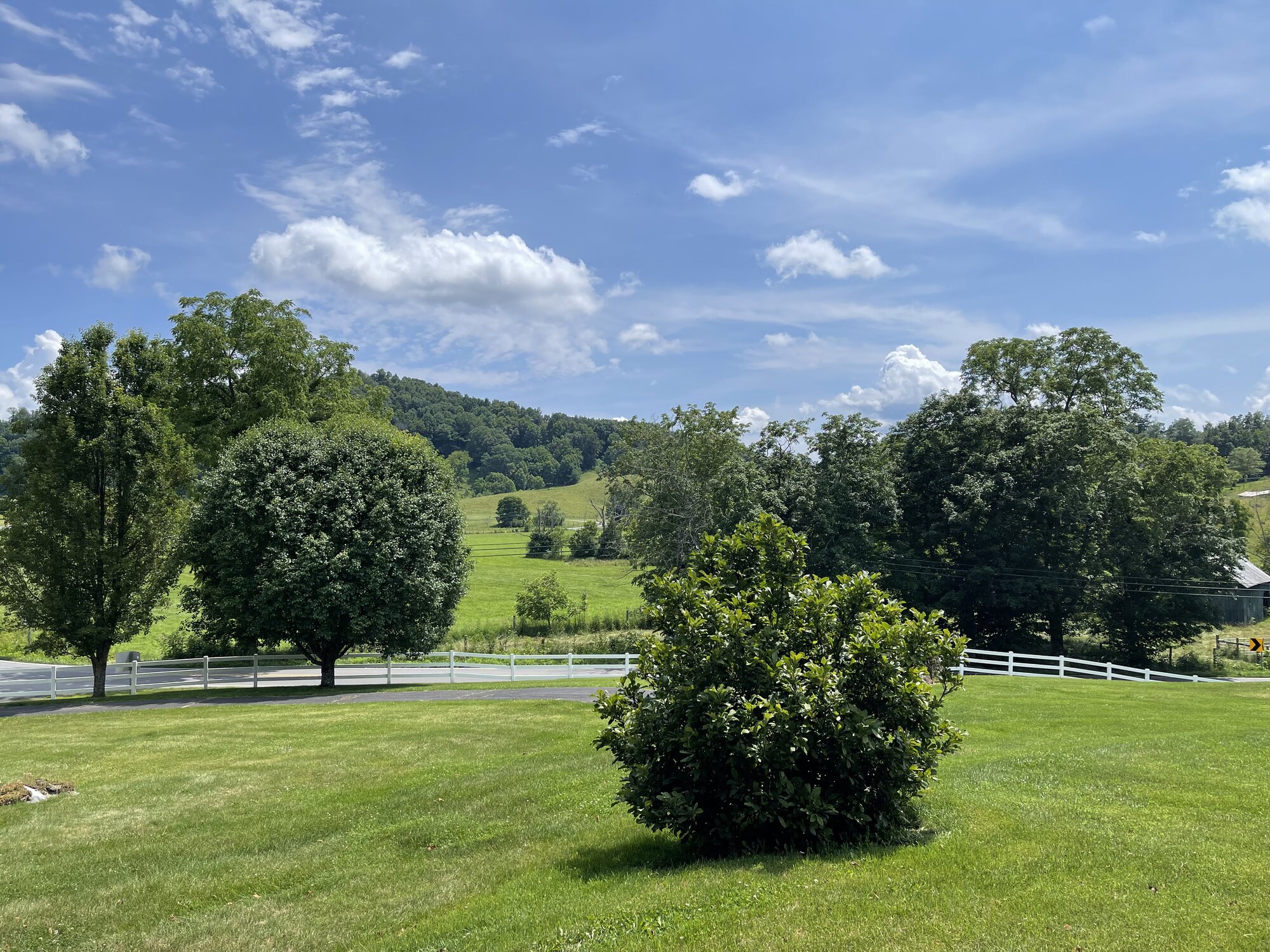 Pastures with white fence in summer